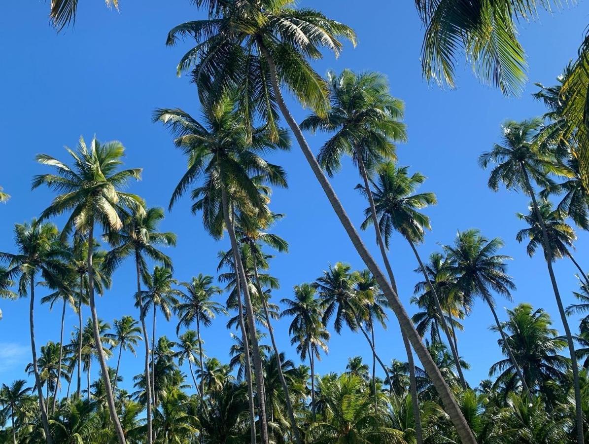 Flat 118 Eco Resort Praia Dos Carneiros Tamandaré Zewnętrze zdjęcie